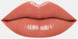 Apple Cider LipSense Lips