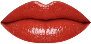 Persimmon LipSense Lips