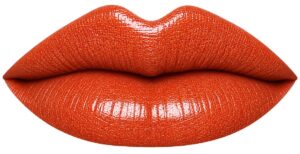Pumpkin Spice LipSense Lips