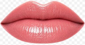 Rose Gloss LipSense Lips