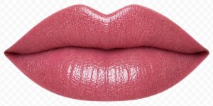 Winter Rose Cream LipSense