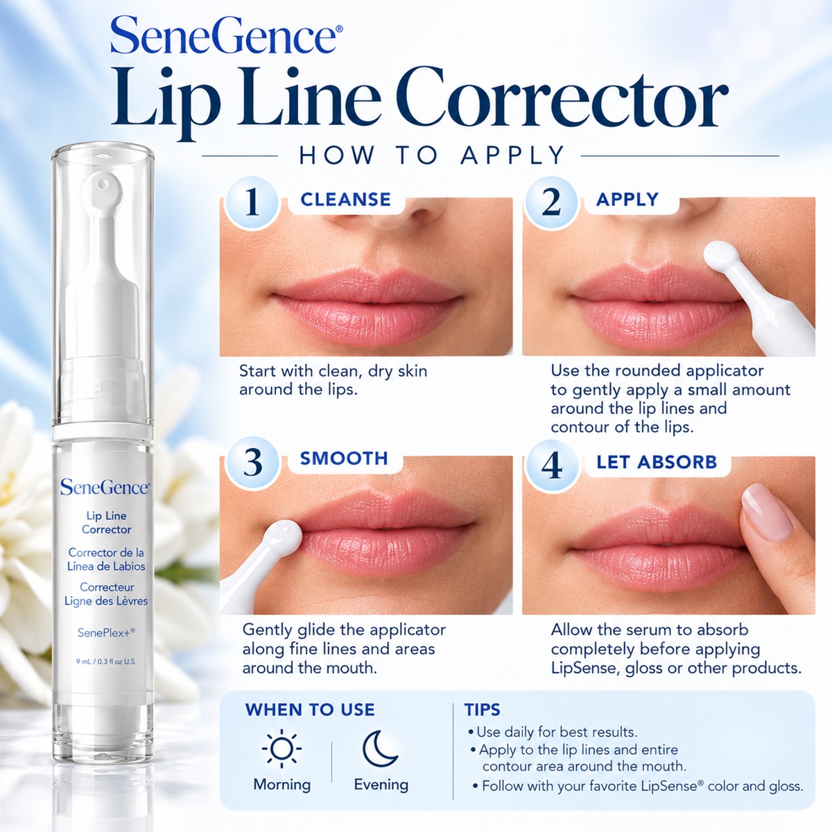 Four-step guide showing how to apply SeneGence Lip Line Corrector around the lips with rounded applicator