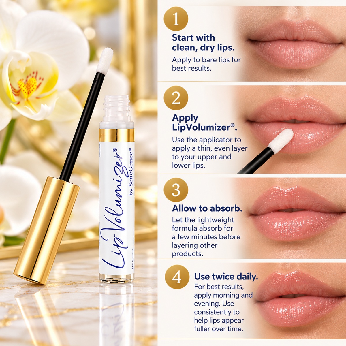 Four-step SeneGence LipVolumizer application guide showing clean lips, serum application, absorption and twice-daily use