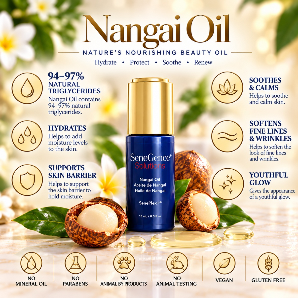 Nangai Oil benefits infographic featuring hydration, skin barrier support, soothing properties and youthful glow